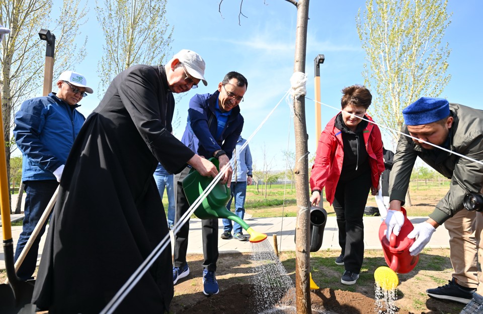 Beıbitshilik jáne kelisim saıabaǵynda aǵash egildi