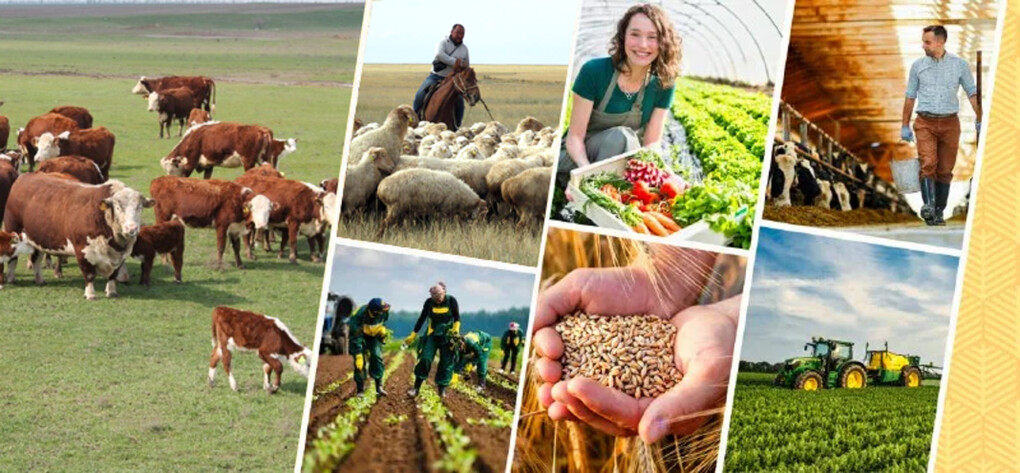 Depýtat «Aýyl amanaty» baǵdarlamasynyń tıimdiligin arttyrýdy usyndy