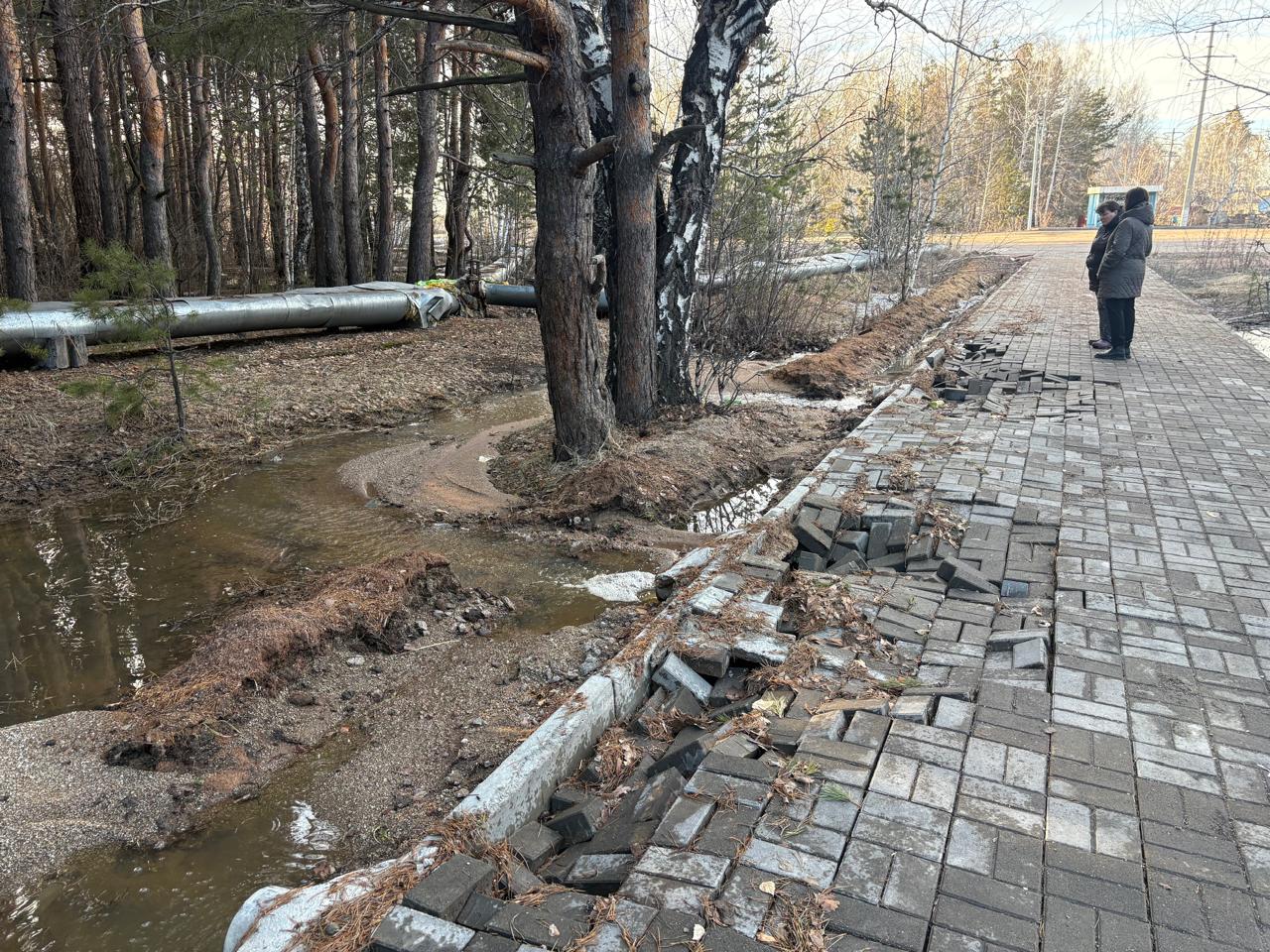 Saǵy synǵan saıabaq