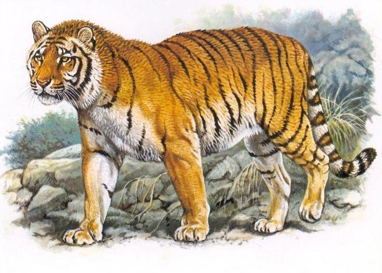 Turan jolbarystaryn qonystandyrýǵa 1 mlrd teńge kerek