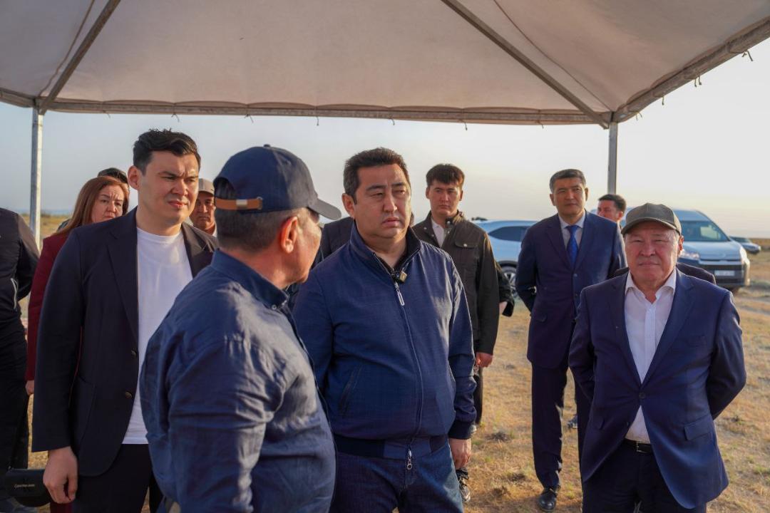 Jambyl oblysynda shegirtkege qarsy óńdeý júrip jatyr