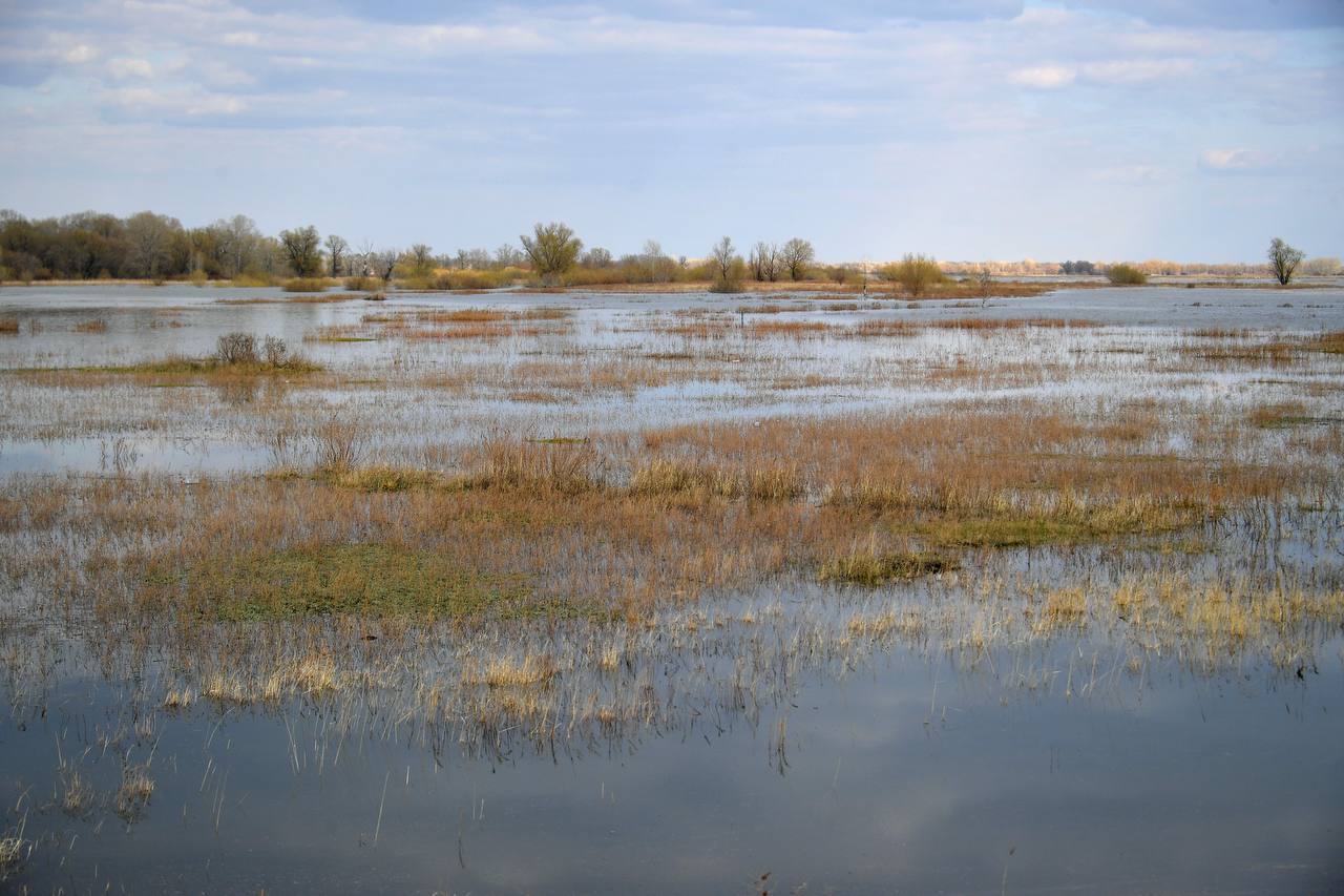 Jaıylmany jaılaǵan eldi jarylqaıdy