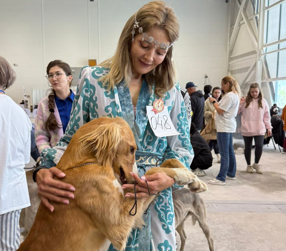 Taza qandy tazylar tanystyryldy