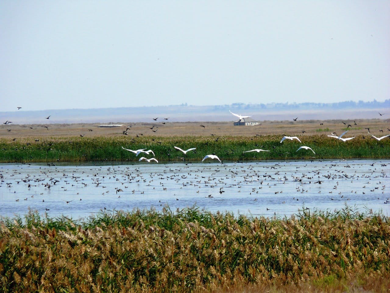 Aýmaǵy keńeıgen qoryqtar