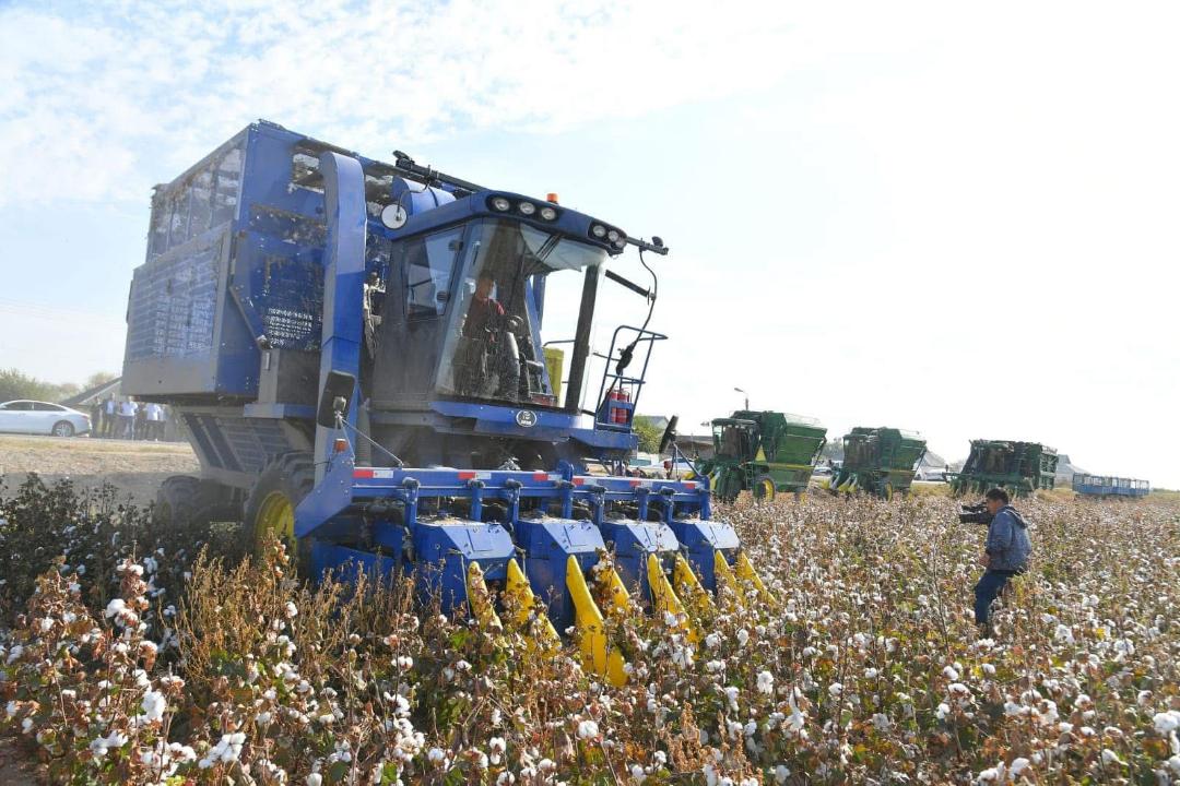 Maqta  sharýashylyǵynda 70 myń adam eńbek etip júr