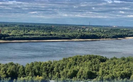 Shandaqsor sý qoımasynda balyq qyrylyp jatyr