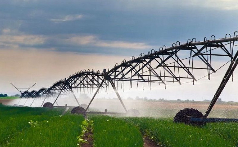 Aýyl sharýashylyǵyna sý únemdeý tehnologııalary engiziledi