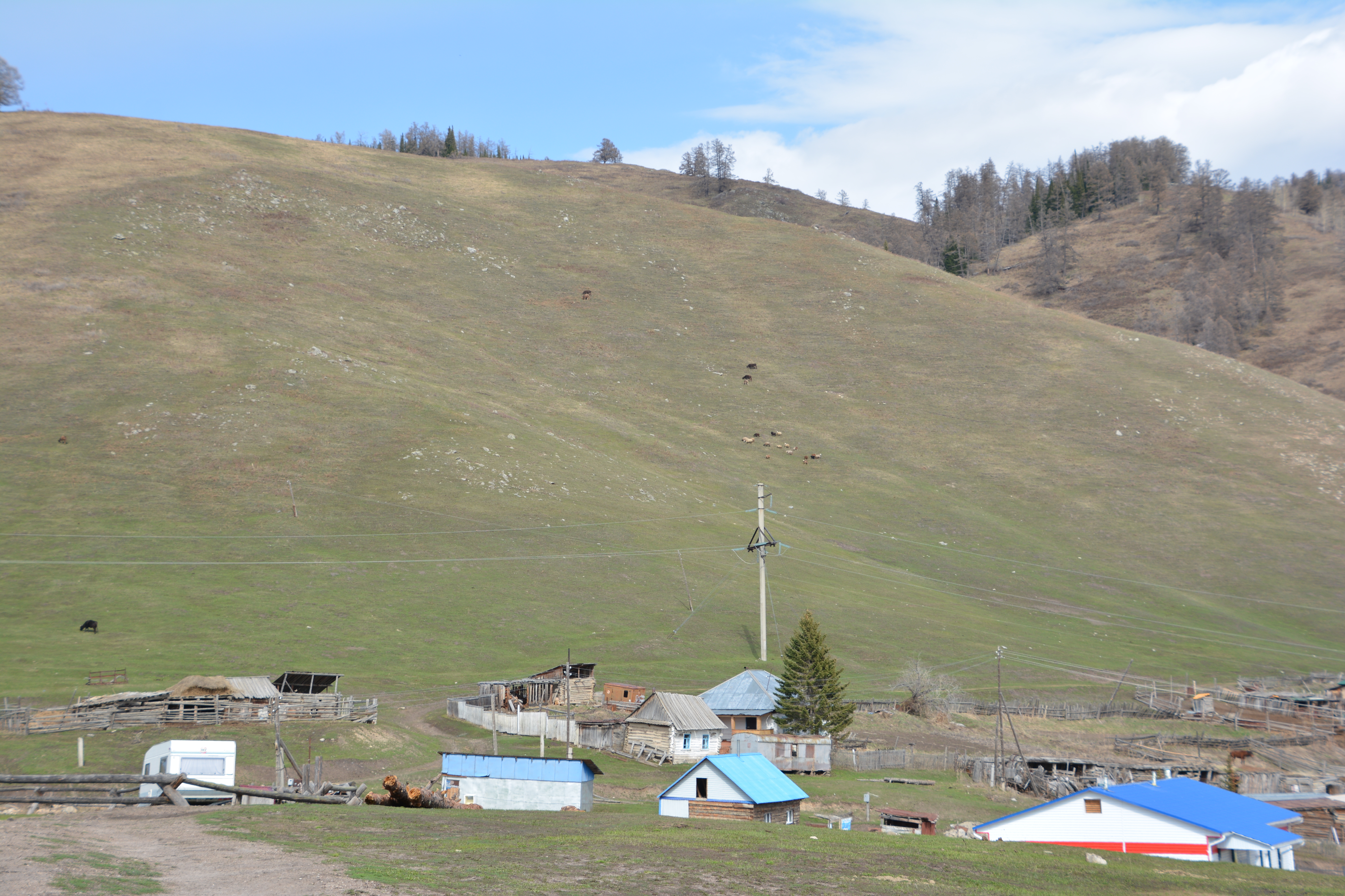 Shekara mańyndaǵy aýdandar damyp keledi