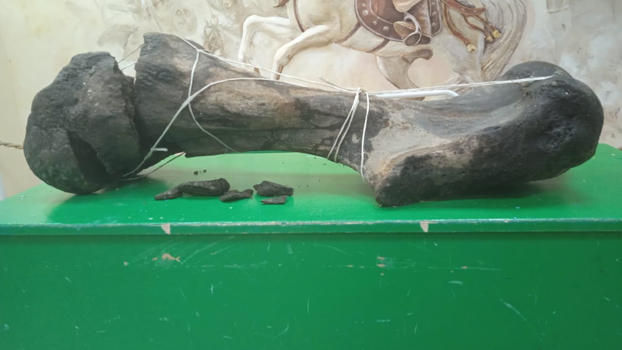 Alyp janýardyń asyq jiligi tabyldy