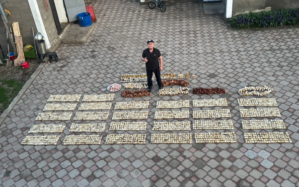 3 myńnan astam topaı asyq jınaǵan aqtóbelik Qazaqstan rekordttar kitabyna endi