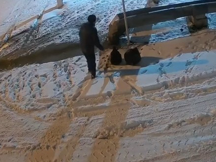 Qyzylordada ekologııalyq quqyq buzýshylyqty tirkeıtin beınekameralar sany artady