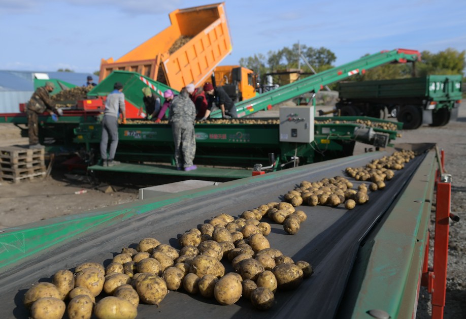 Kartop tuqymyn syrttan alý tyıyla ma?