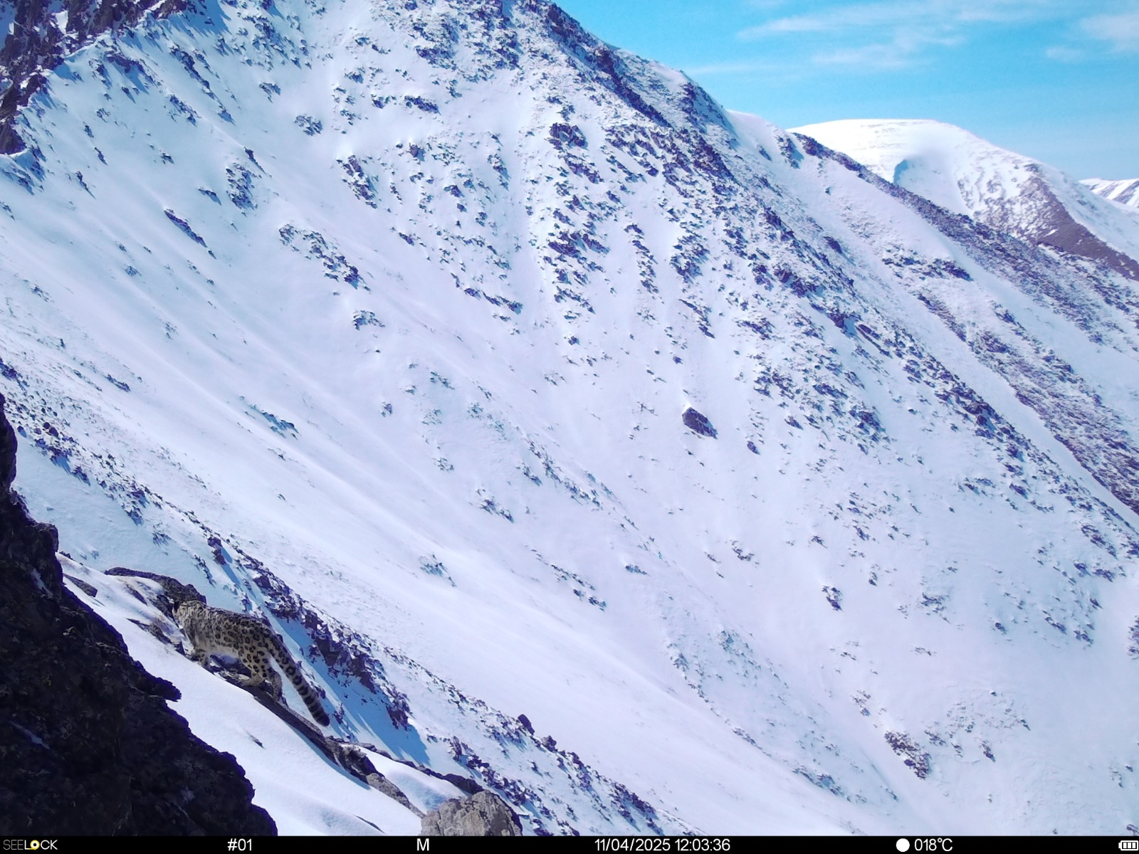 Búrkit shyńyndaǵy barys