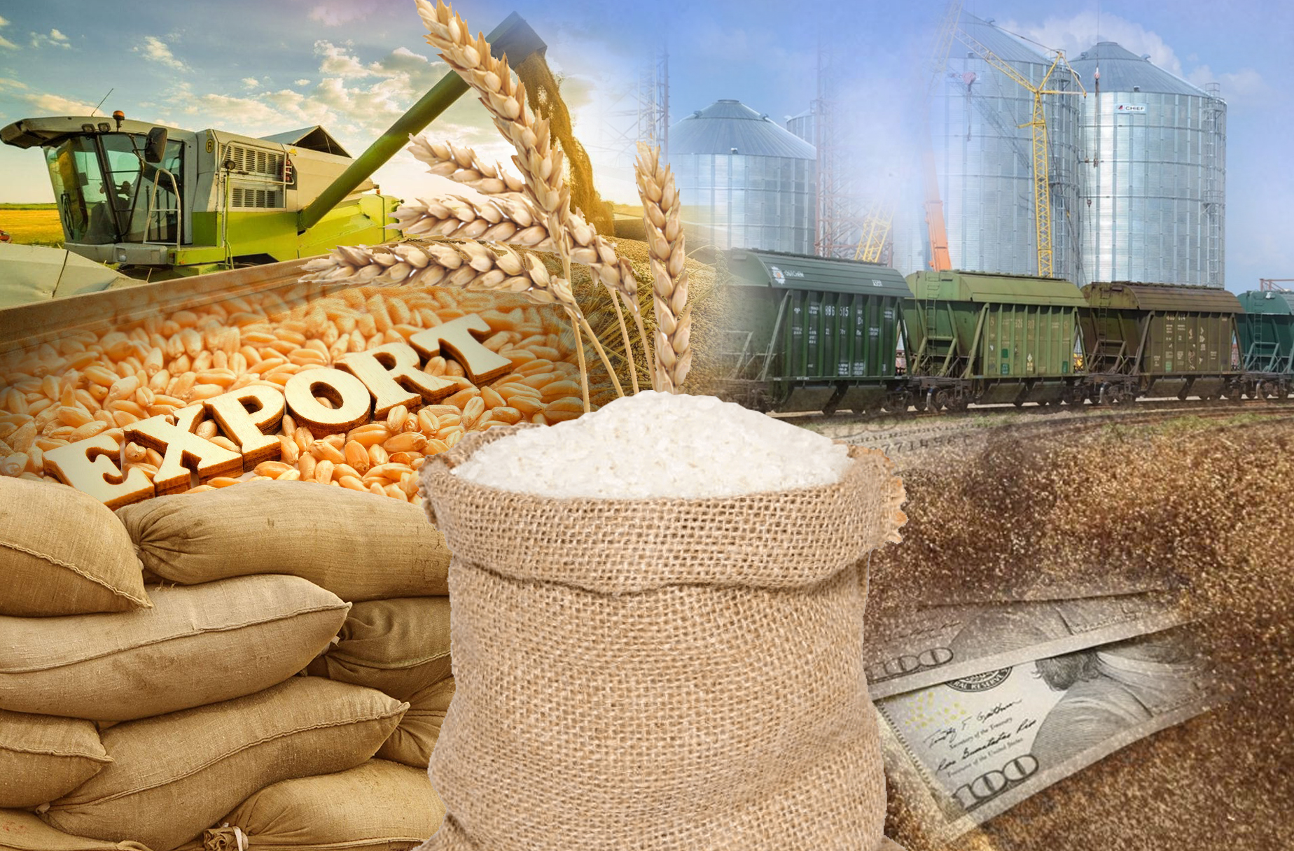 Aqmolanyń astyǵy Italııaǵa eksporttaldy