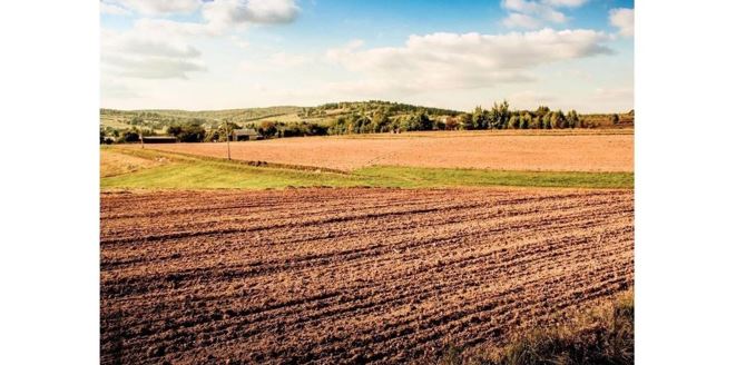 Aqtóbe oblysynda 1200 gektar jer memleketke qaıtaryldy