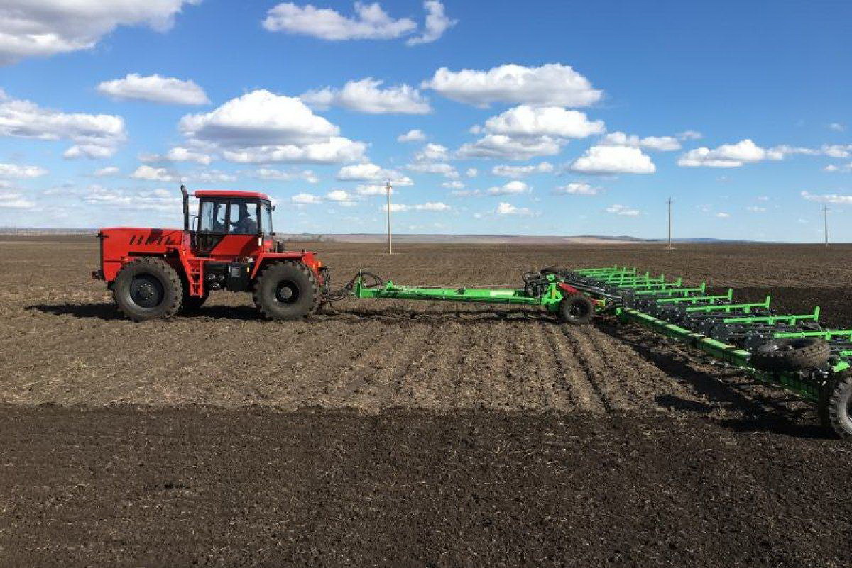 Sharýa alqapqa shyqty