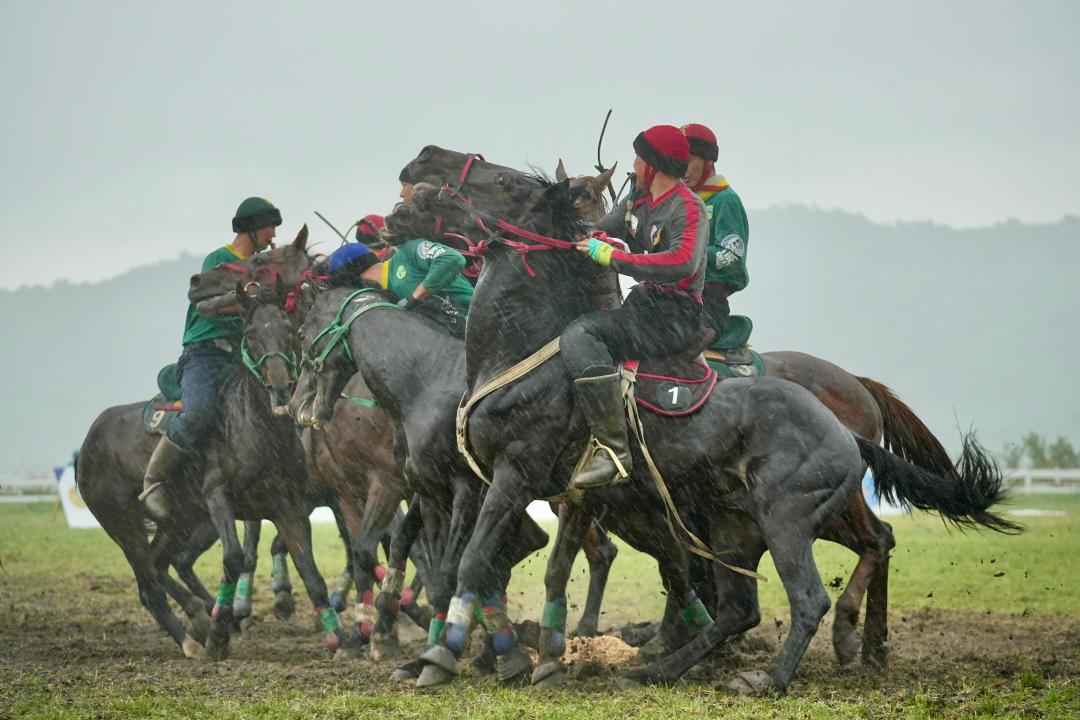 Jambyldyq jastar kókpardan  chempıon atandy