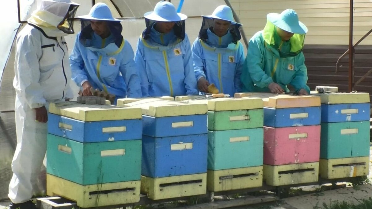 Omartashylyq ta jaqsy kásip