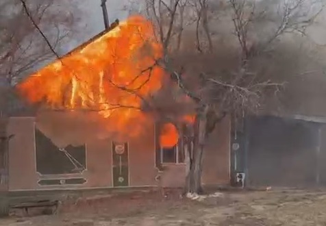 Baıanaýyl ulttyq parkindegi órtke elektr kerneýine túsken saýysqan sebepker bolǵan