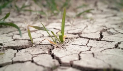 Depýtat Túrkistan oblysynda tótenshe jaǵdaı  jarııalaýdy usyndy