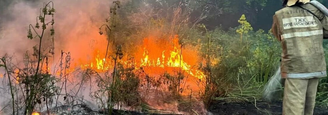 Tilsiz jaý bıyl órship tur