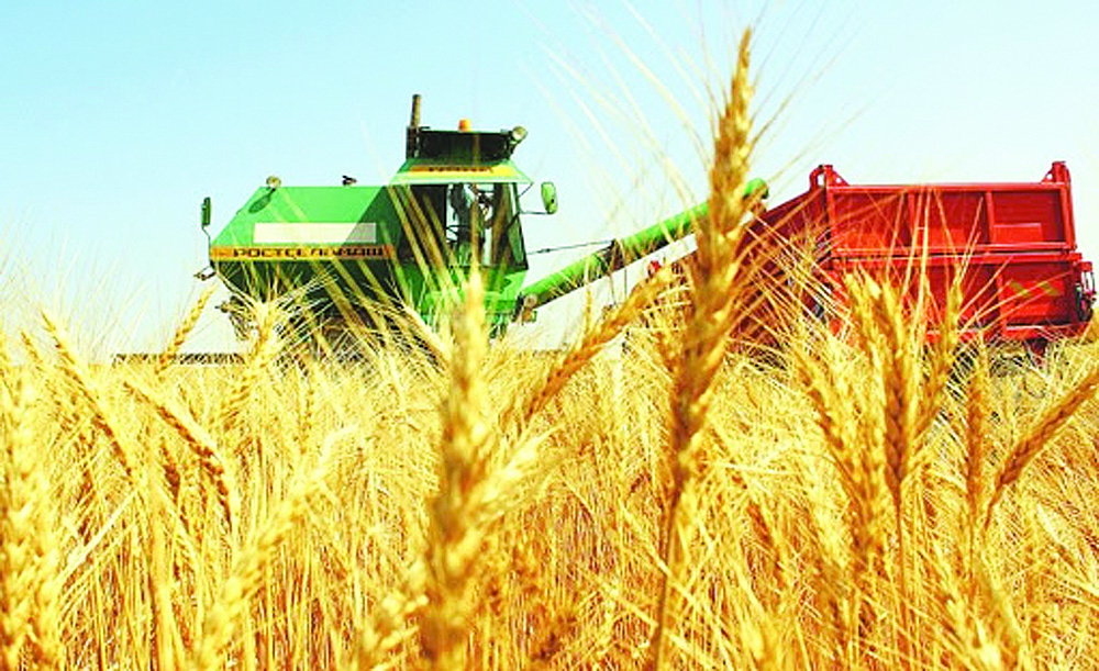 Sharýanyń kóńili kúpti