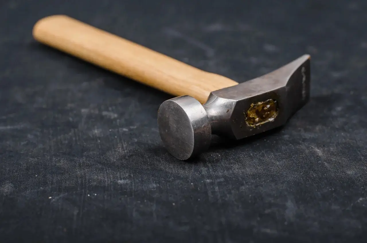 Emshi er adamdy balǵamen uryp, omyrtqasyn syndyrǵan