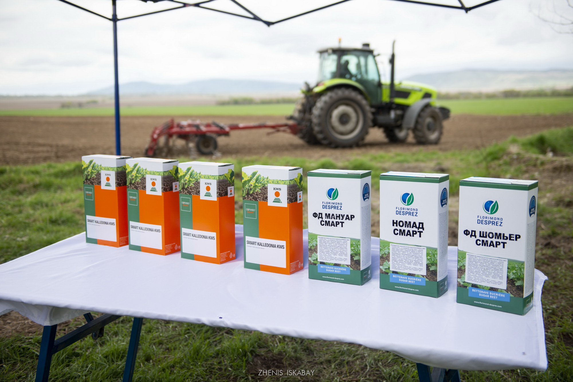 Maıly zyǵyr ósiredi