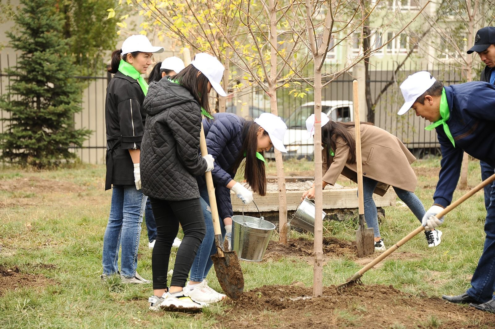 «Jasyl el» jasaǵyna qalaı jumysqa ornalasýǵa bolady?