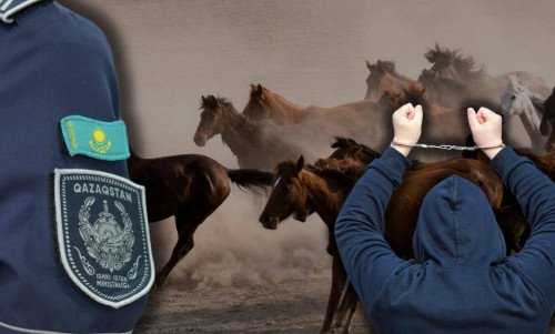 Túrkistan oblysynda mal urylary ustaldy