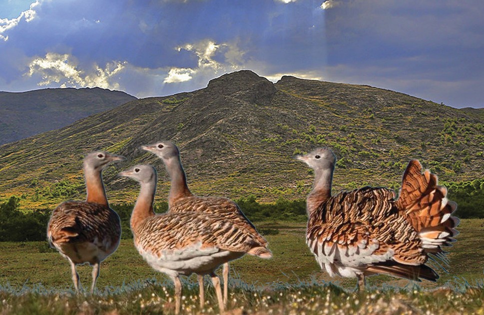 Dalada júrgen dýadaq