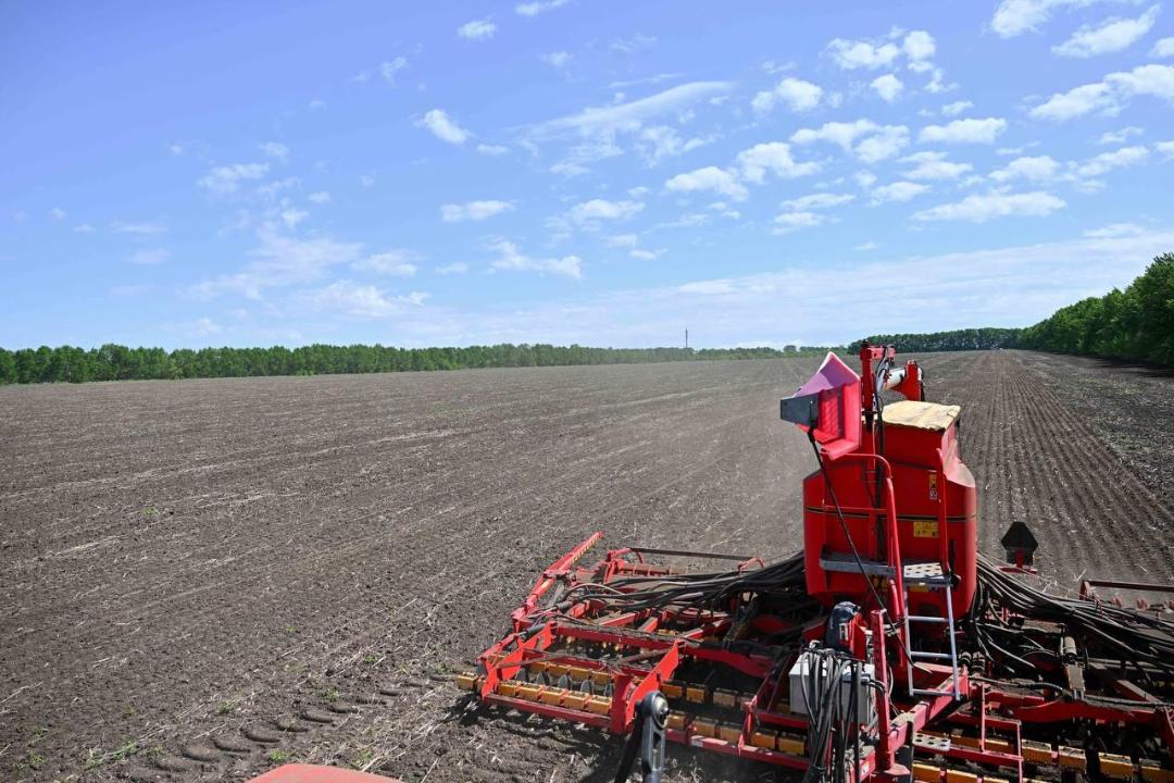 Egis naýqany jalǵasyp jatyr