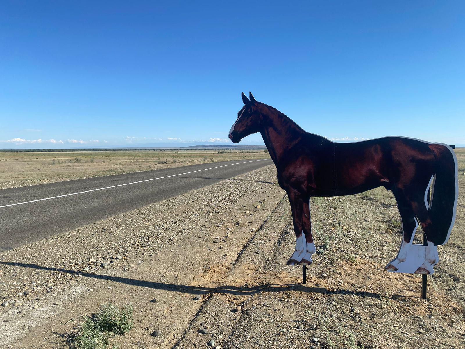 ShQO-da joldarǵa janýarlardyń sýreti qoıyldy