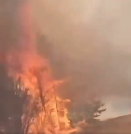 Manıtobada orman órtine baılanysty tótenshe jaǵdaı engizildi