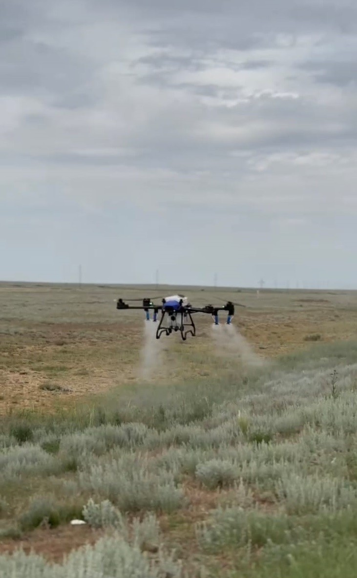 Qostanaı oblysynda úıirli shegirtkege qarsy is-sharalar júrip jatyr