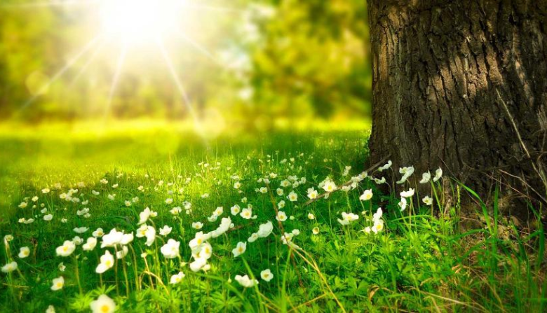 Maýsym aıynda elimizde aýa raıy qandaı bolady