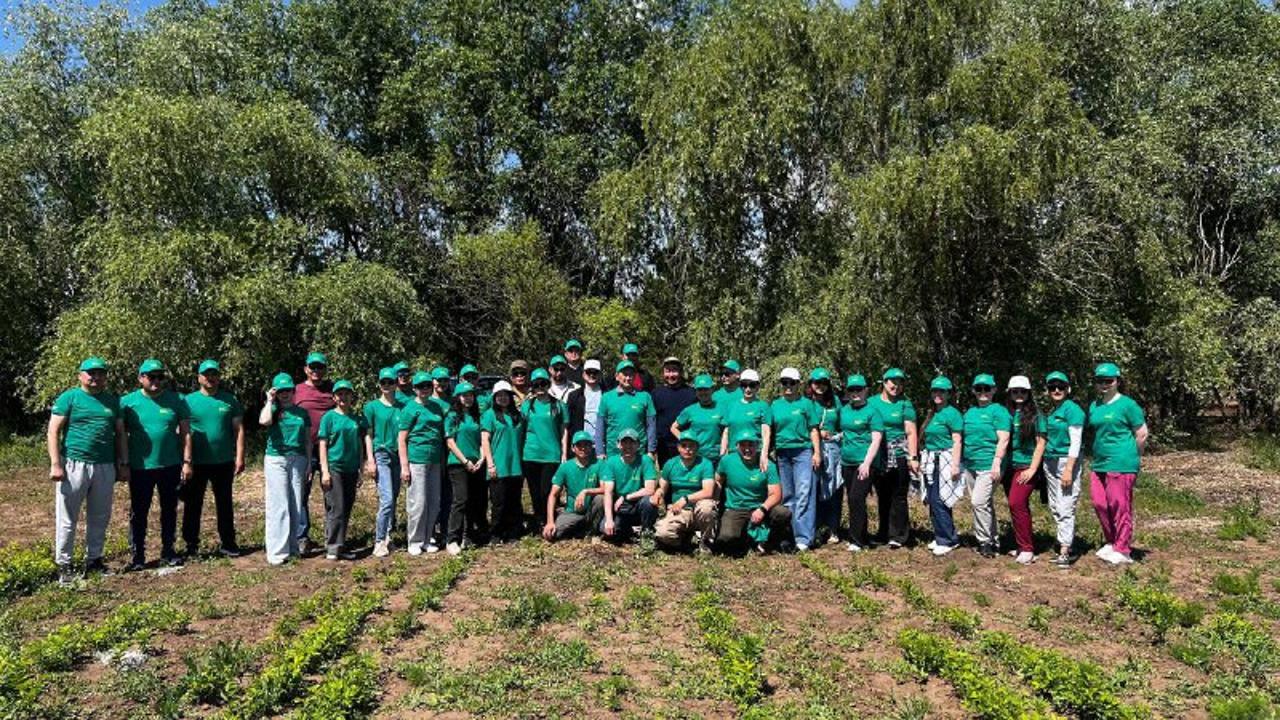 Qarasý ózeniniń jaǵasy tazartyldy