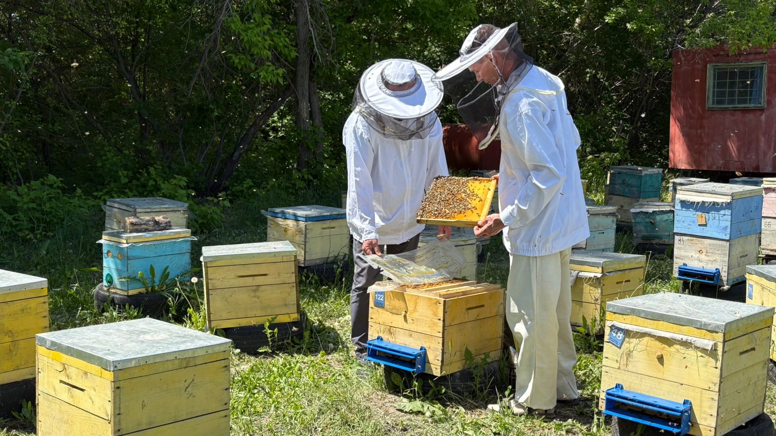 Úzdik omartashylar ardaqtaldy