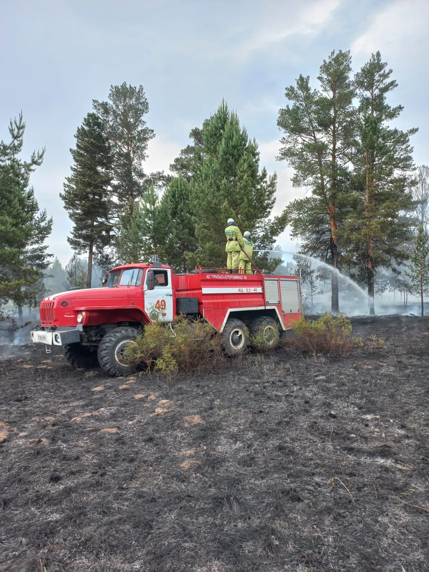 Ertis ormanyna naızaǵaı túsip, órt shyqty
