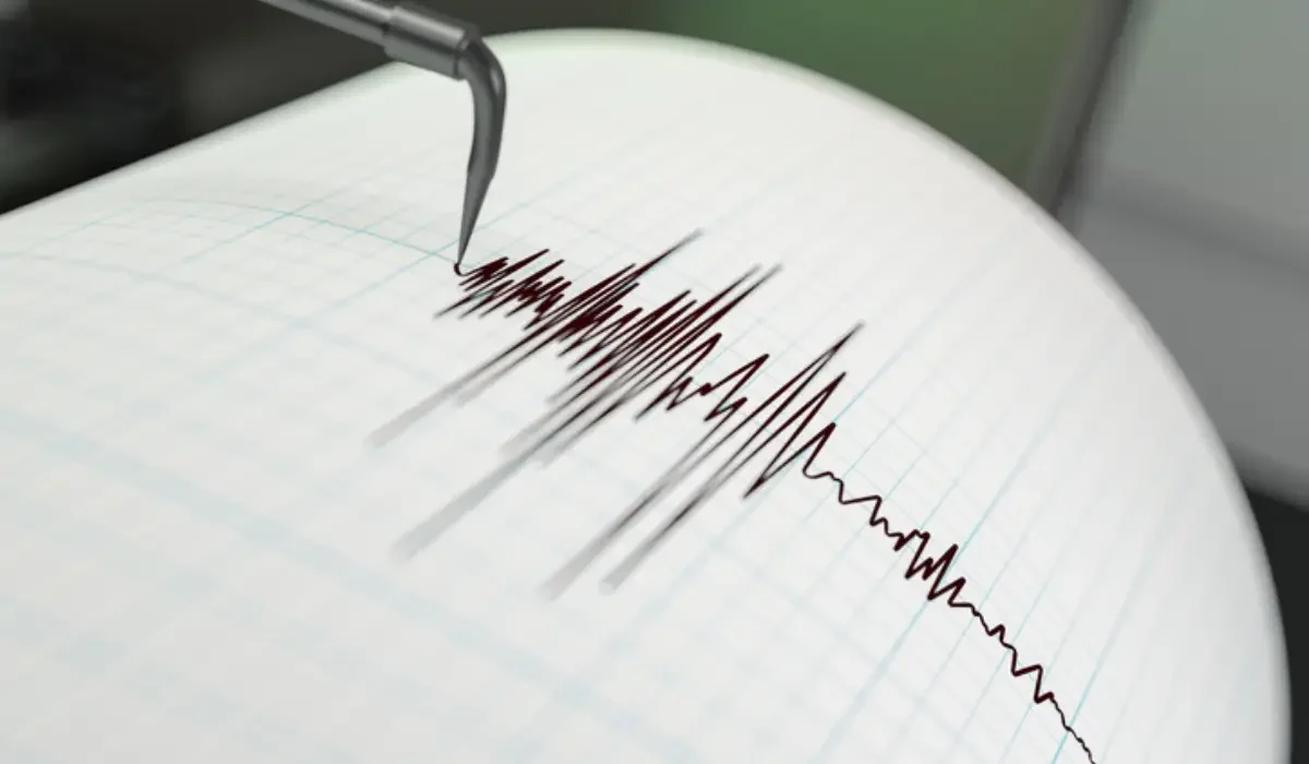 Jetisý oblysynda jer silkindi