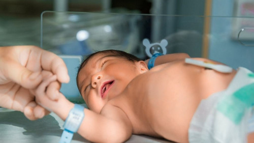 Almatyda sábılerdi satý shemasy anyqtaldy