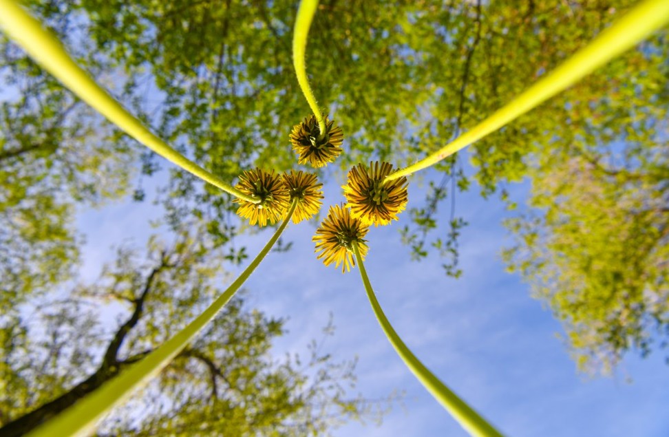 Taza tabıǵat – urpaqqa amanat