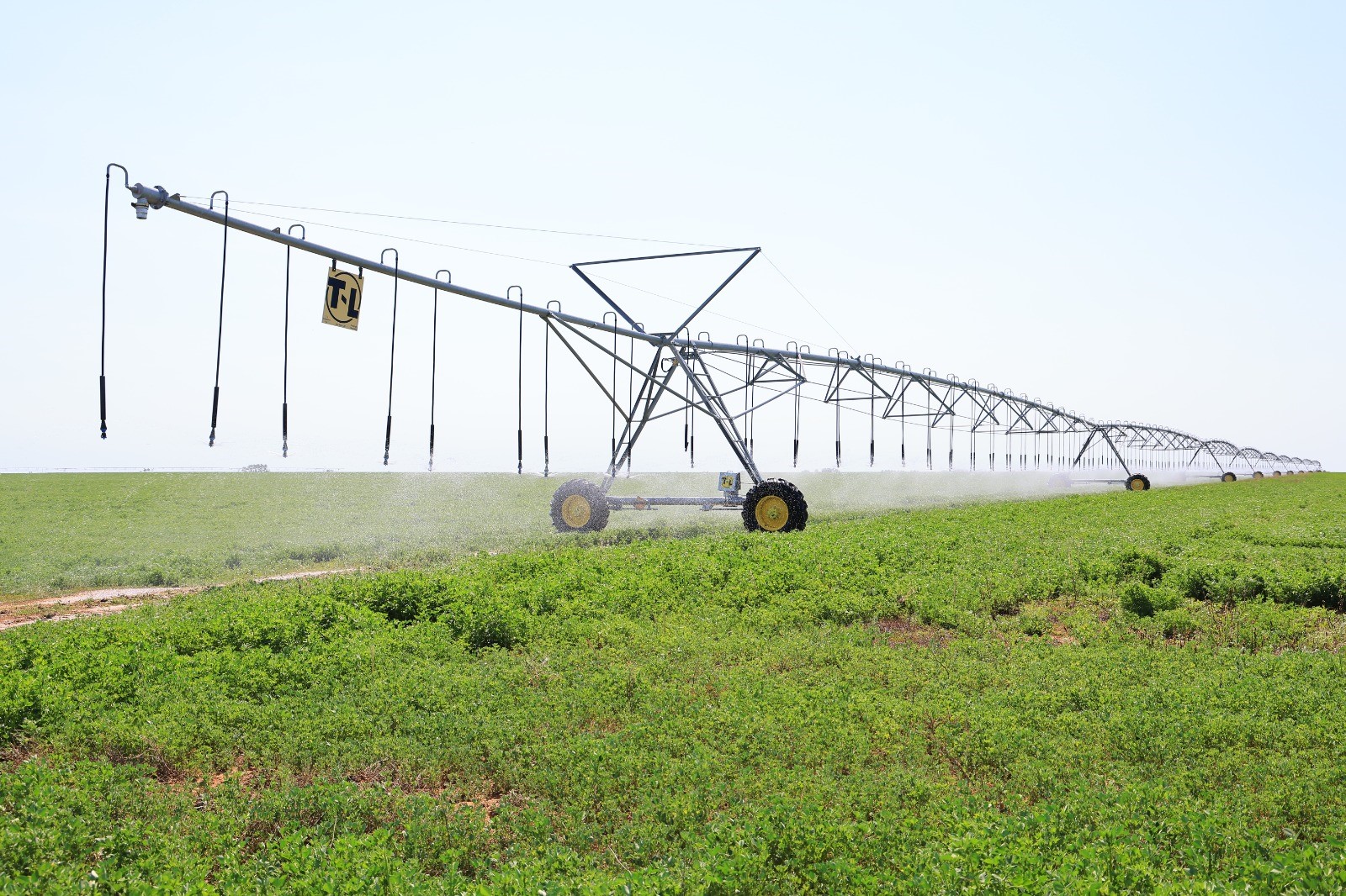 Týǵan jerge tirek bolar joba