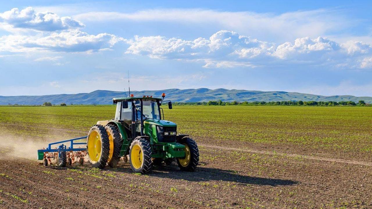 Kóktemgi egis jumystary tolyq aıaqtaldy