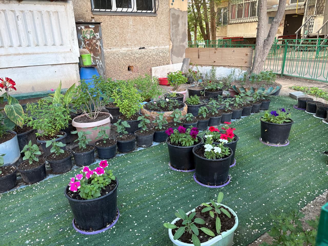 «Taza aýla» konkýrsynyń jeńimpazdary anyqtaldy