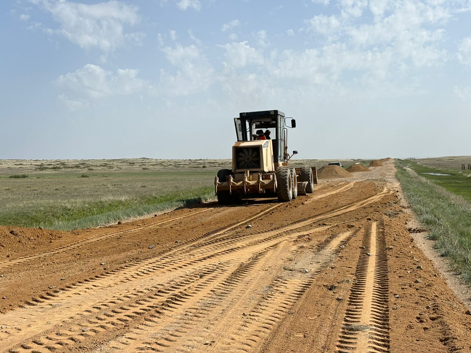 Terisaqqandaǵy tirshilik