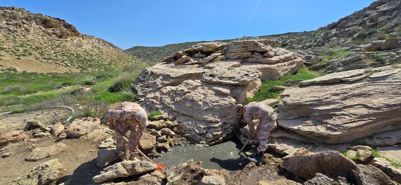 Mańǵystaýda bıyl 31 myńnan astam aǵash otyrǵyzylady