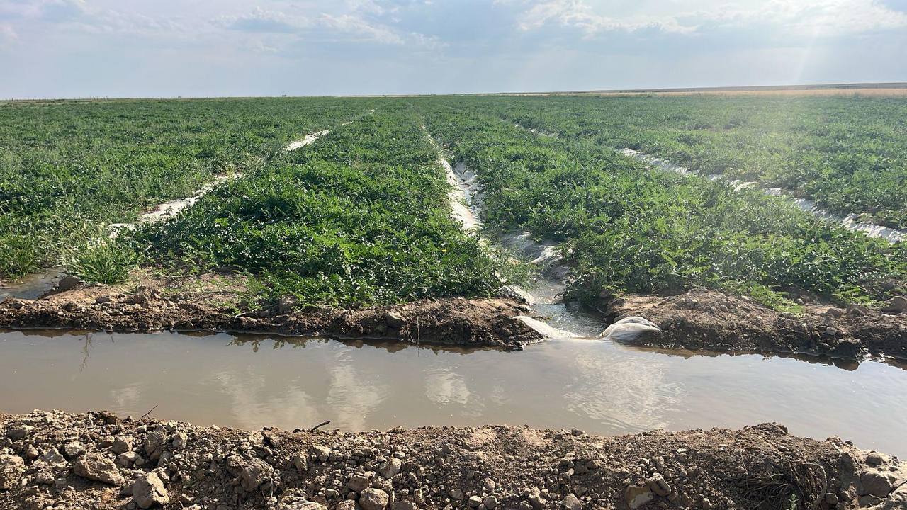 Qyzylorda oblysynyń dıqandaryna sý berildi