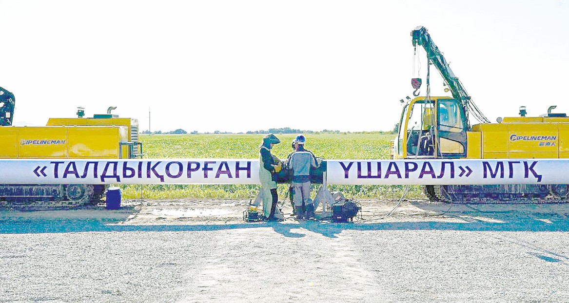 Kógildir otynnyń ıgiligi