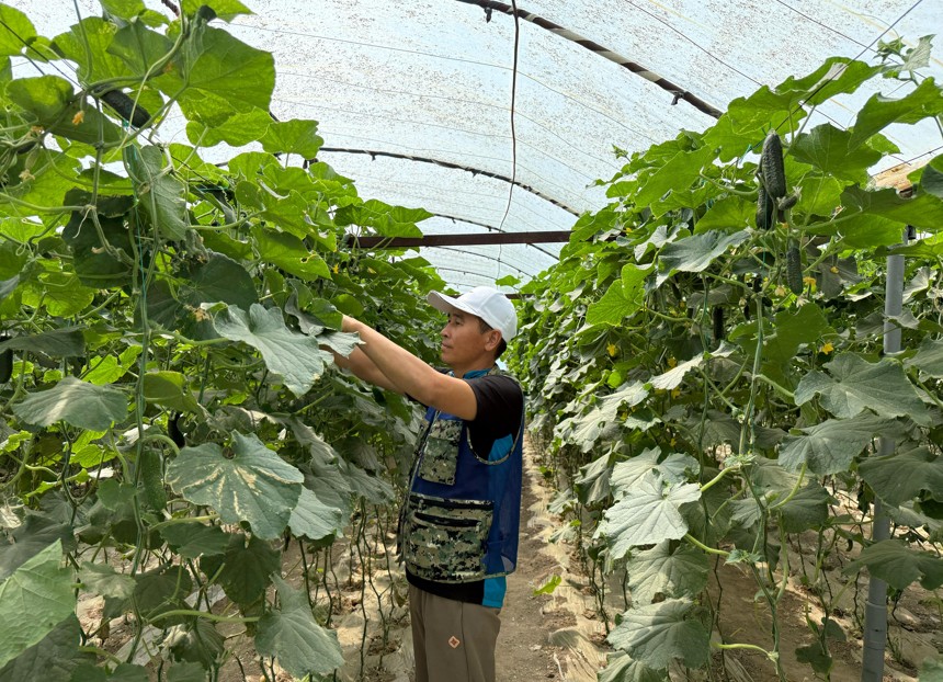 Eńbek etken berekege keneledi